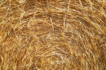 Close up photo of a hay bale, natural background.