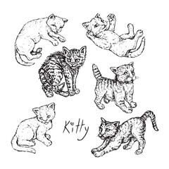 Cat (kitty) small cute collection set, doodle black ink drawing, woodcut vector