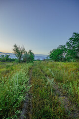 An empty rural dirt road covered in wild grass, flanked by green and golden fields and trees, under a calm, twilight blue sky.
