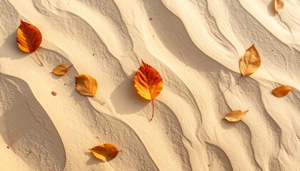 Fallen leaves scattered across smooth desert sand dunes