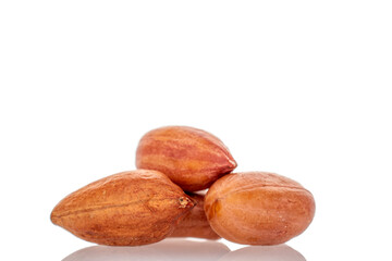 Peeled raw peanuts isolated on white background.
