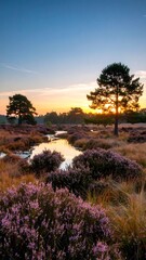 Sunrise over a tranquil moorland stream