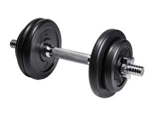 A black and gray dumbbell with circular weights
