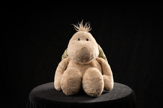 Stuffed turtle sitting upright on a black surface with black background