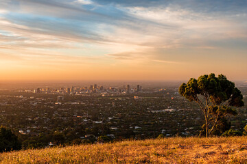 Adelaide City viewing from hill top Mt Osmond