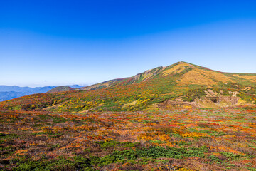 秋色に染まる　栗駒山の絶景