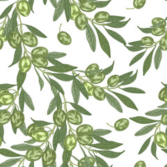 Olives seamless pattern. Hand drawn green olives branches isolated on white background. Vector illustration.