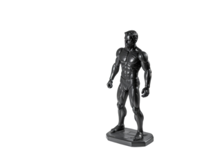 Gray anatomical male figure, standing pose