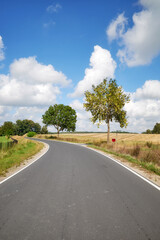 A rural asphalt road among fields, Poland.