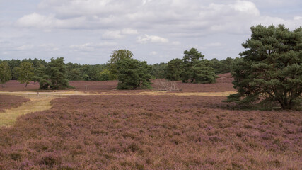 Landscape in Germany