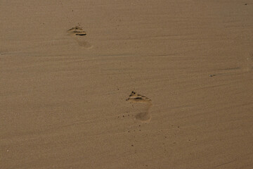 A pair of footprints is imprinted on the smooth, wet sand of a beach, leading away from the viewer