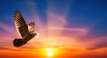 Dove flies towards the sun in a vibrant sunset sky