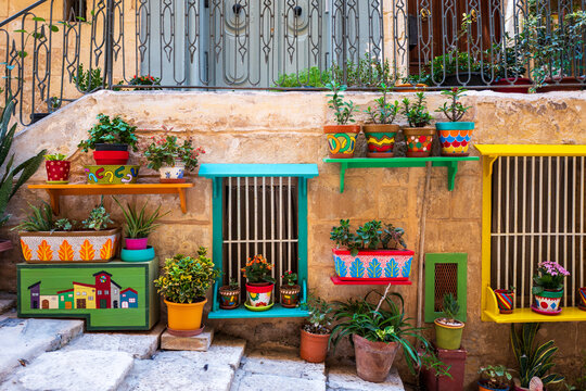 colorful flowers in pots