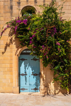 blue door