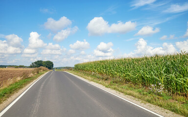 A rural asphalt road among fields, Poland.