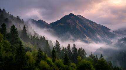 Obraz premium Fog rolling over majestic mountain peaks and lush green forest