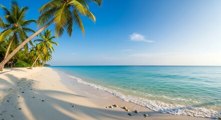 Tropical beach scene with palm trees white sand and turquoise water under a clear blue sky day