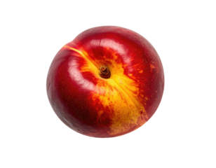 Close-up of a round, vibrant red peach with yellow highlights
