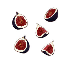 Sliced figs vector