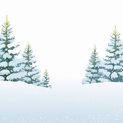 Obraz premium Snowy forest with snowdrifts and snow-covered spruce branches
