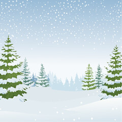 Obraz premium Snowy forest with snowdrifts and snow-covered spruce branches