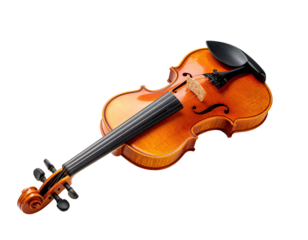 Violin, rich amber finish, angled view