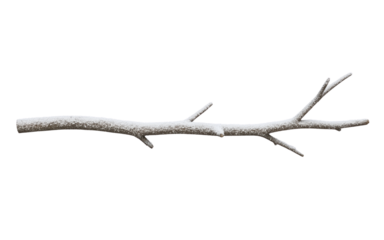 Snowy tree branch isolated on transparent background