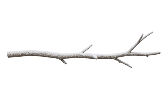 Snowy tree branch isolated on transparent background