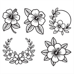 Hibiscus Flower Collection Line Art Floral Arrangements