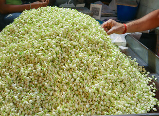 Mysore Jasmine flowers, fragrance, white color, fresh, blossomed, Dussehra, popular, used as a...