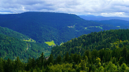 beautiful view of the mountains with trees