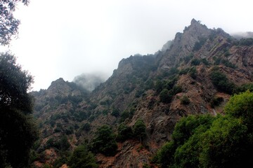 Misty mountain range with rocky slopes and trees