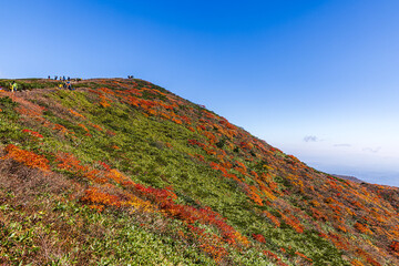 秋色に染まる　栗駒山の絶景　
