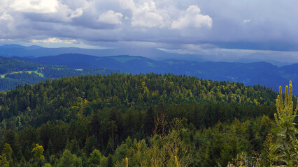 beautiful view of the mountains with trees