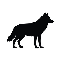 Silhouette of a standing wolf in profile on a white background
