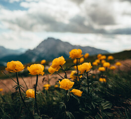 Dolomites Italy mountains