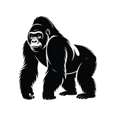 Powerful silhouette of a standing gorilla on a white background