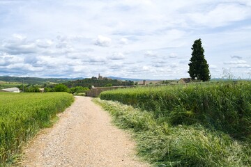 자연 목초 경작 녹색 들판 하늘 구름 아웃도어