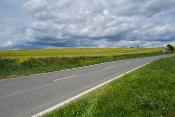 Fototapeta premium 자연 목초 경작 녹색 들판 하늘 구름 아웃도어