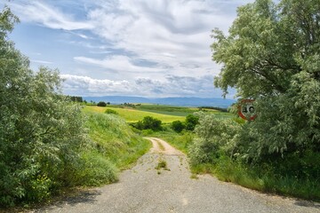자연 목초 경작 녹색 들판 하늘 구름 아웃도어