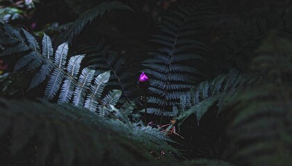 A single, mysterious purple light glows brightly from a hidden flower amidst the deep shadows of an enchanted fern forest at night
