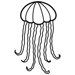 jellyfish cartoon illustration outline 