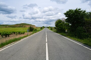 Fototapeta premium 자연 목초 경작 녹색 들판 하늘 구름 아웃도어