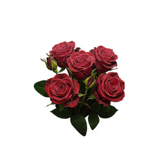 Bouquet of roses isolated on transparent background