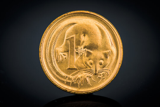 Close-up of one cent coin featuring feathertail glider design