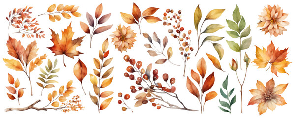 Vector collection set watercolor colorful autumn foliage