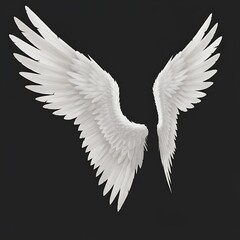 Fototapeta premium 羽衣の囁き (Hagi no Sasayaki) — Whisper of Wings