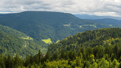 beautiful view of the mountains with trees