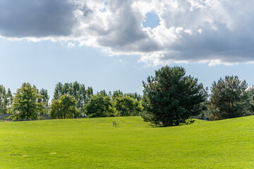 A wide green meadow stretches under dramatic clouds and bright sky. A single chair stands alone in the open field.