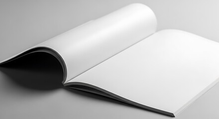 Open Book Blank Pages Focus.